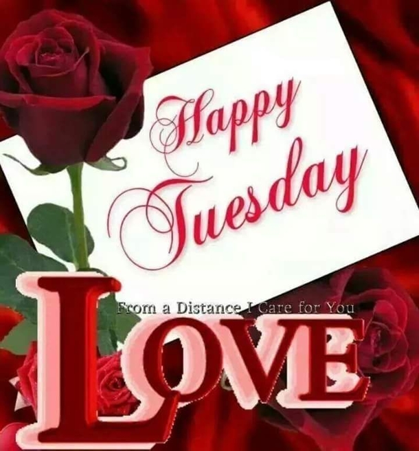 10 Amazing Tuesday Wishes & Blessings - picture 9