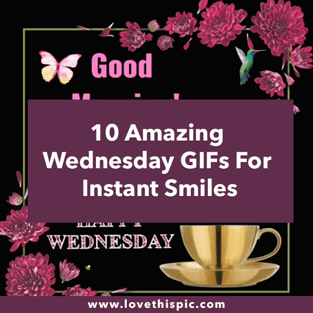 10 Amazing Wednesday GIFs For Instant Smiles