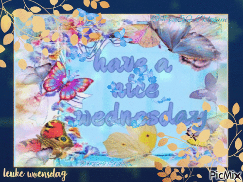10 Amazing Wednesday GIFs For Instant Smiles - picture 3