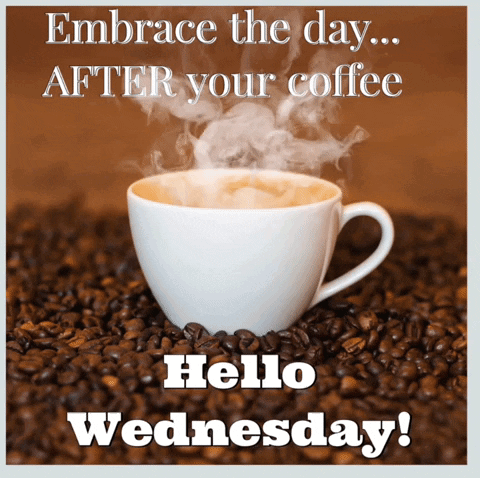 10 Amazing Wednesday GIFs For Instant Smiles - picture 6