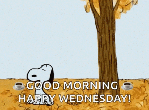 10 Amazing Wednesday GIFs For Instant Smiles - picture 8