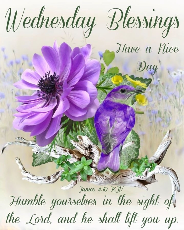 10 Amazing Wednesday Quotes, Sayings And Gifs To Bless Your Day - picture 9
