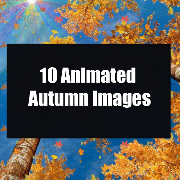10 Animated Autumn Images