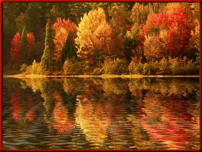 10 Animated Autumn Images - picture 11