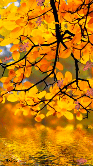 10 Animated Autumn Images - picture 12