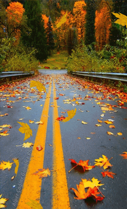 10 Animated Autumn Images - picture 2