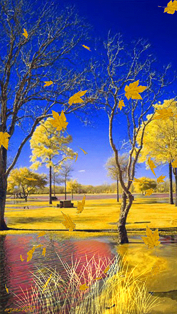 10 Animated Autumn Images - picture 7