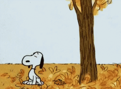 10 Animated Autumn Images - picture 8