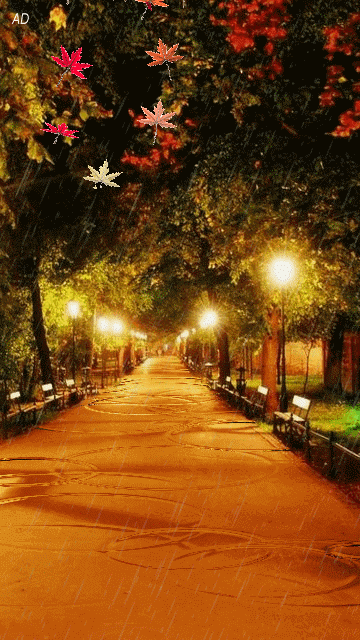 10 Animated Autumn Images - picture 9