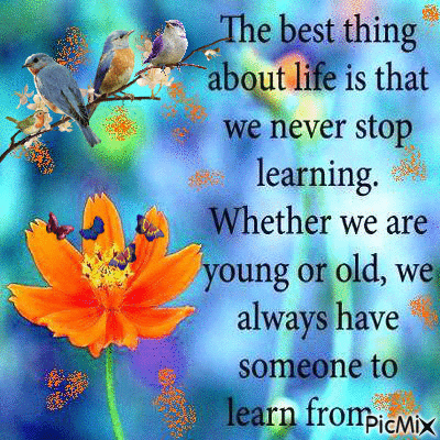 10 Animated Gifs And Quotes About Life - picture 3