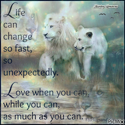 10 Animated Gifs And Quotes About Life - picture 5
