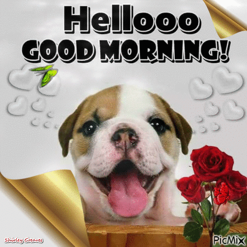 10 Animated Good Morning Images With Quotes - picture 11