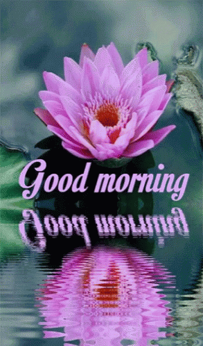 10 Animated Good Morning Quotes To Start Your Day Happy - picture 12