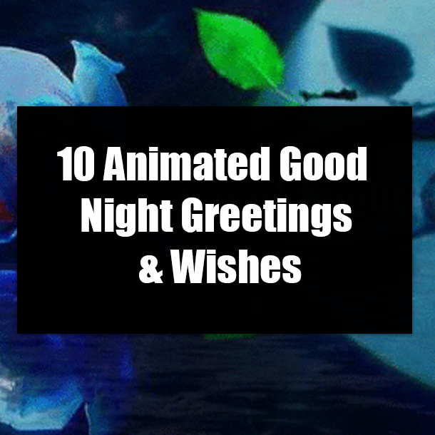 10 Animated Good Night Greetings & Wishes