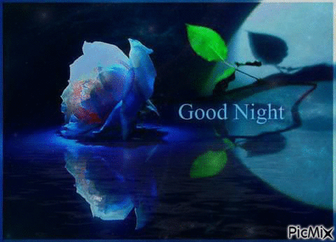 10 Animated Good Night Greetings & Wishes - picture 13