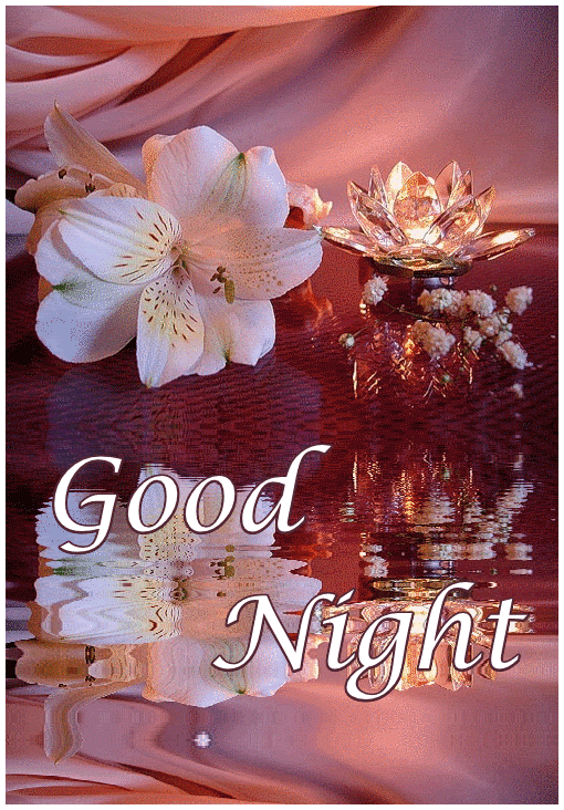 10 Animated Good Night Greetings & Wishes - picture 3