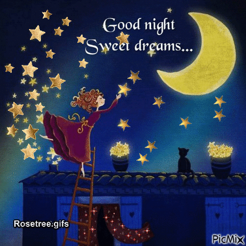 10 Animated Good Night Greetings & Wishes - picture 4