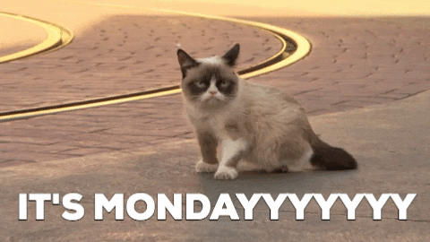 10 Animated Monday Images For Anyone Who Doesn't Like Monday - picture 3