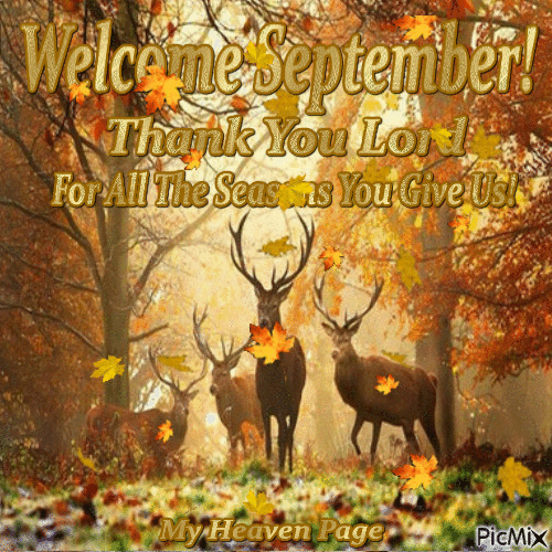 10 Animated Quotes To Welcome Septemeber - picture 3