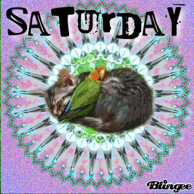 10 Animated Saturday Quotes And Sayings - picture 8
