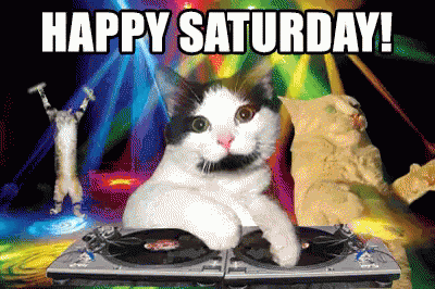10 Animated Saturday Quotes And Sayings - picture 9
