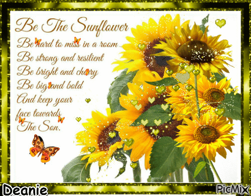 10 Animated Sunflower Gifs And Images To Love - picture 11