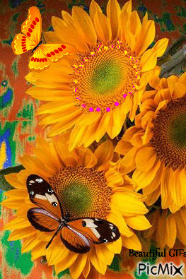 10 Animated Sunflower Gifs And Images To Love - picture 6