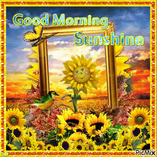 10 Animated Sunflower Gifs And Images To Love - picture 8