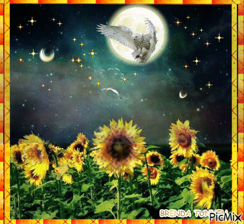 10 Animated Sunflower Gifs And Images To Love - picture 9