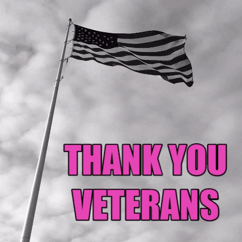10 Animated Veterans Day Quotes And Sayings - picture 5