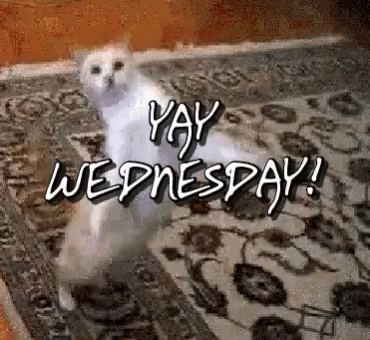 10 Animated Wednesday Quotes And Sayings To Share - picture 4