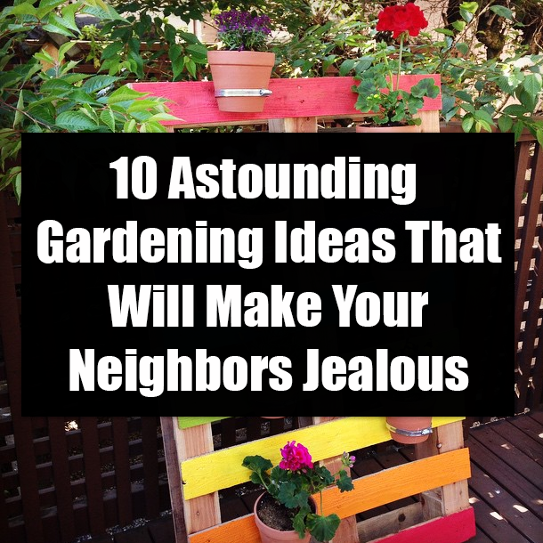 10 Astounding Gardening Ideas That Will Make Your Neighbors Jealous