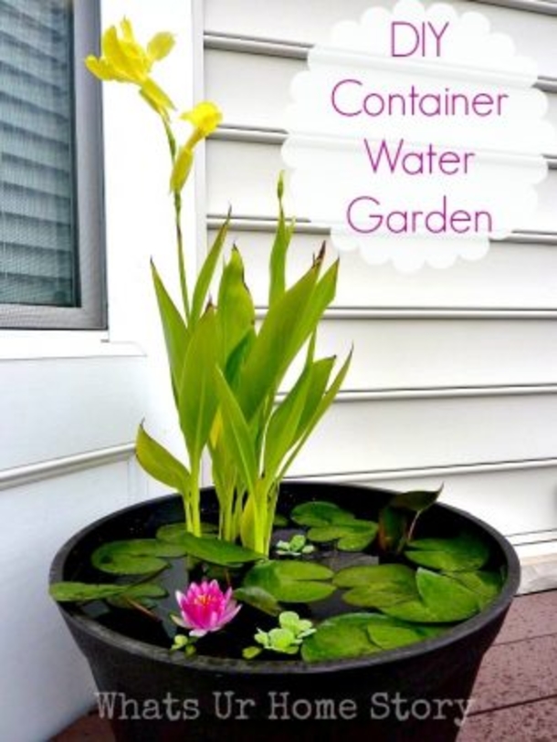 10 Astounding Gardening Ideas That Will Make Your Neighbors Jealous - picture 5