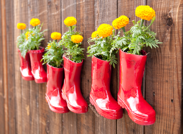 10 Astounding Gardening Ideas That Will Make Your Neighbors Jealous - picture 8