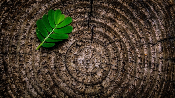 10 Astounding Shots Of Nature You Have To See - picture 3