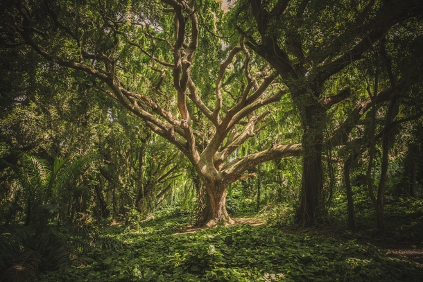 10 Astounding Shots Of Nature You Have To See - picture 4
