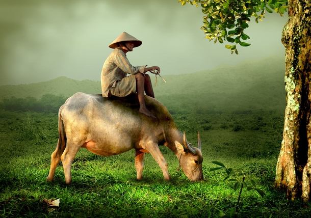 10 Astounding Shots Of Nature You Have To See - picture 7