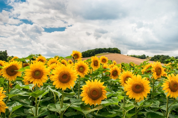 10 Astounding Shots Of Nature You Have To See - picture 9
