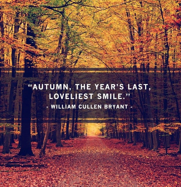 10 Autumn Quotes - picture 10