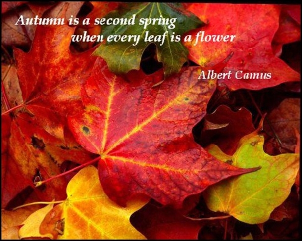 10 Autumn Quotes - picture 2