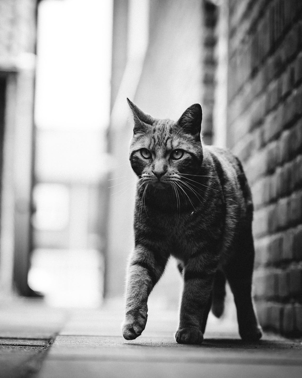 10 Awesome Black-And-White Photography Pictures - picture 10