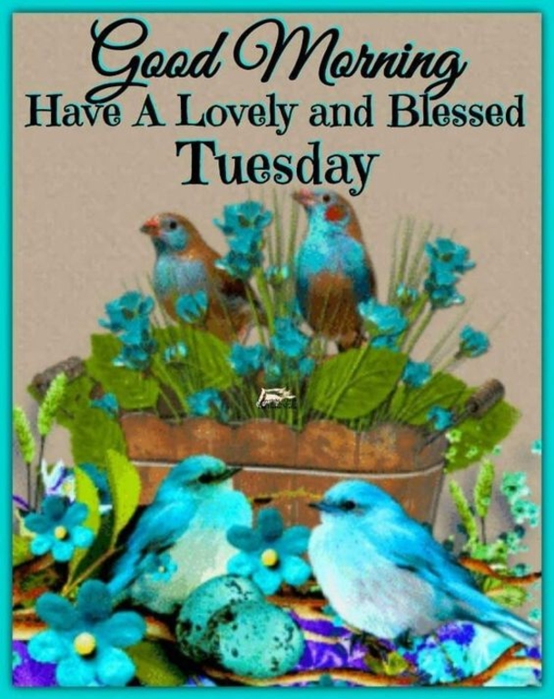 10 Awesome Daily Tuesday Quotes - picture 2