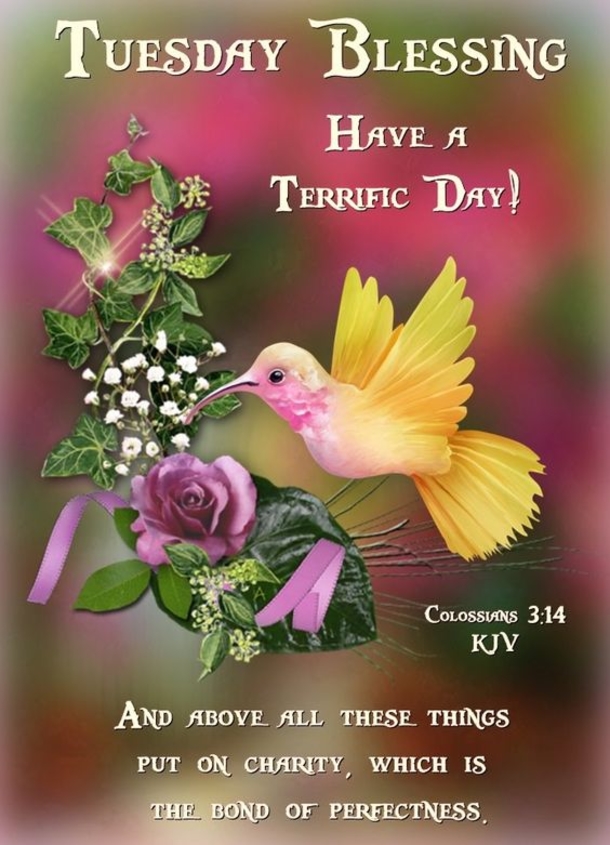10 Awesome Daily Tuesday Quotes - picture 3