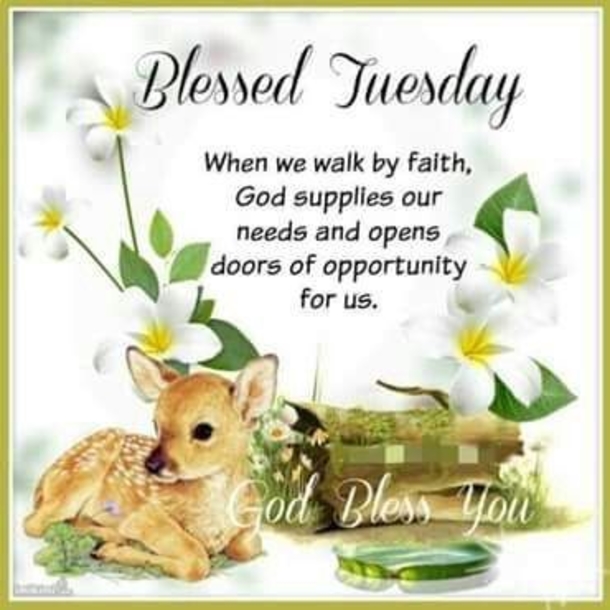 10 Awesome Daily Tuesday Quotes - picture 6