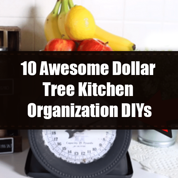 10 Awesome Dollar Tree Kitchen Organization DIYs