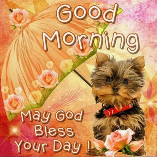 10 Awesome Good Morning Quotes And Images That'll Make Your Day - picture 5