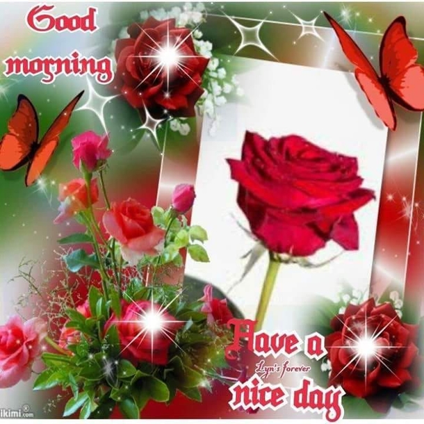 10 Awesome Good Morning Quotes And Images That'll Make Your Day - picture 7