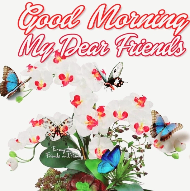 10 Awesome Good Morning Quotes & Blessings To Love Daily - picture 11