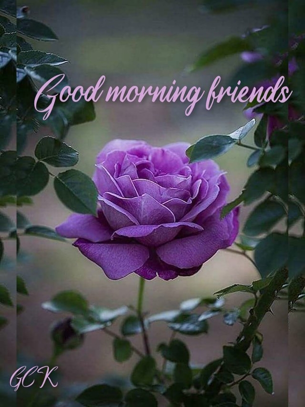10 Awesome Good Morning Quotes & Blessings To Love Daily - picture 3