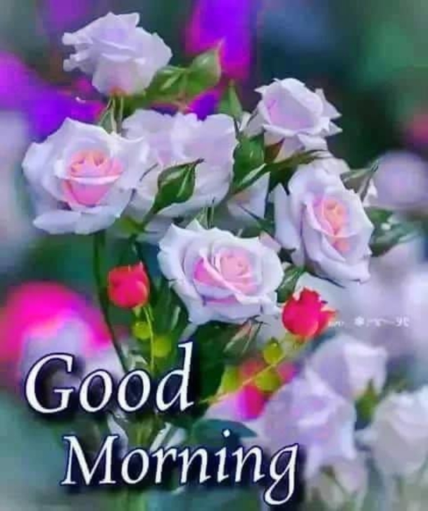 10 Awesome Good Morning Quotes & Blessings To Love Daily - picture 5